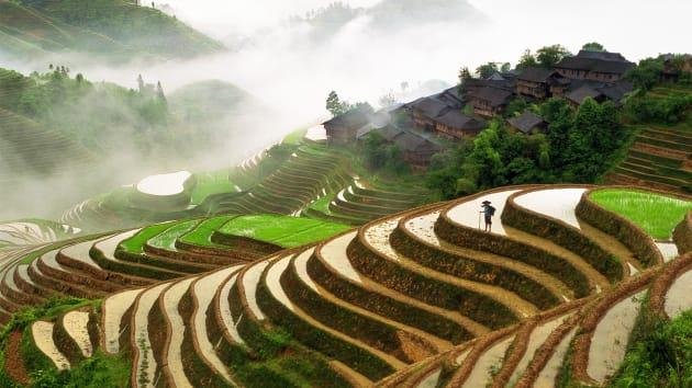 These mountain rice terraces are a feat of centuries-old engineering