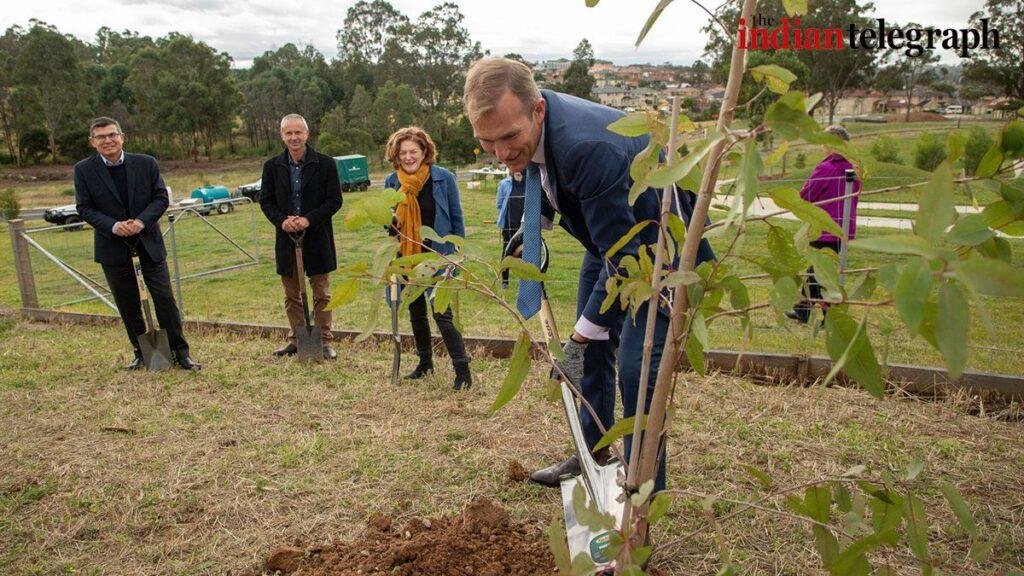 new trees planted in Greater Sydney’s parks